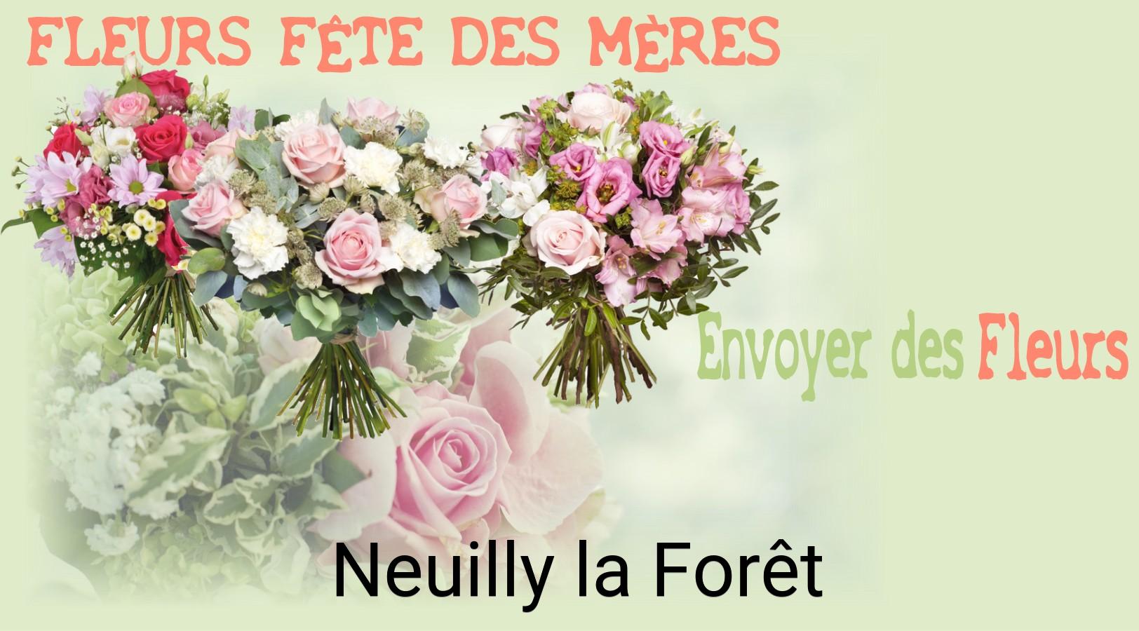 Bouquet de Fête des Mères livré à Neuilly-la-Forêt